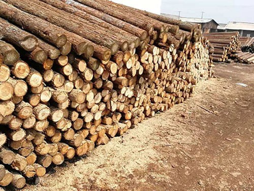 景观木桩在园林设计中的应用