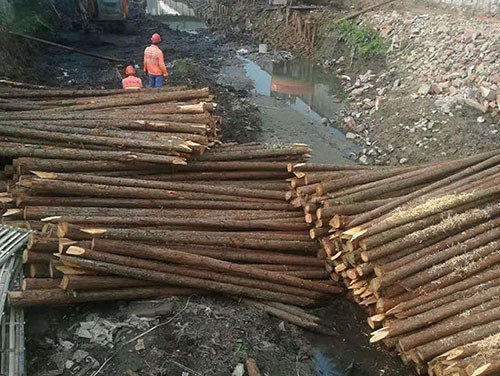 河道护坡木桩的生物工程防护技术