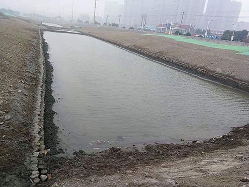 河道护坡木桩的生态修复优势