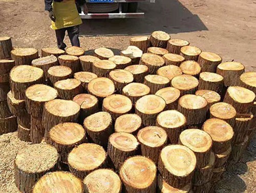 短木桩在地质灾害防治中的应用